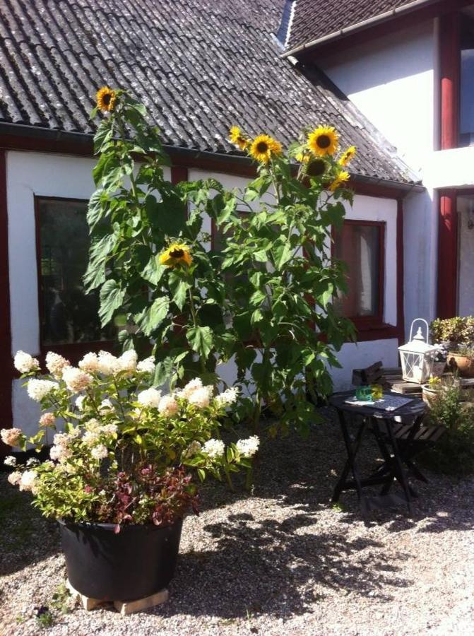 Bed and Breakfast Praestogaard Zewnętrze zdjęcie