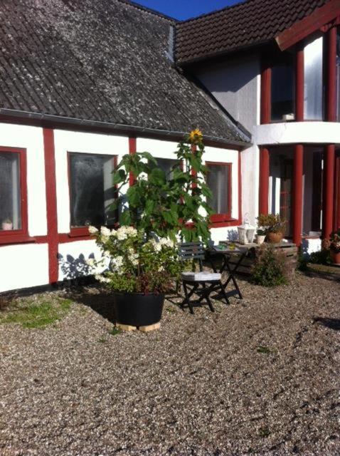 Bed and Breakfast Praestogaard Zewnętrze zdjęcie