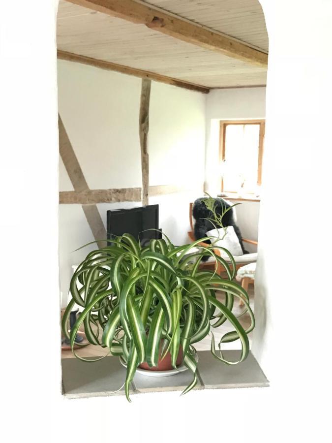 Bed and Breakfast Praestogaard Zewnętrze zdjęcie